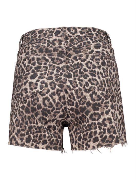 sh-p-tr-la44nia-7878-leo