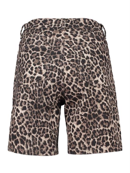 sh-p-tr-li44nox-7878-leo