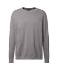 sharkgray