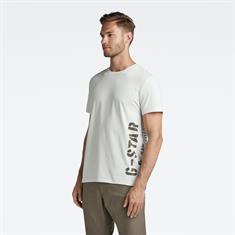 Side stencil r t oyster mushroom