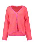 silky rose-neon orange leo
