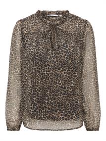 silver mink