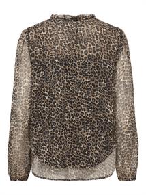 silver mink