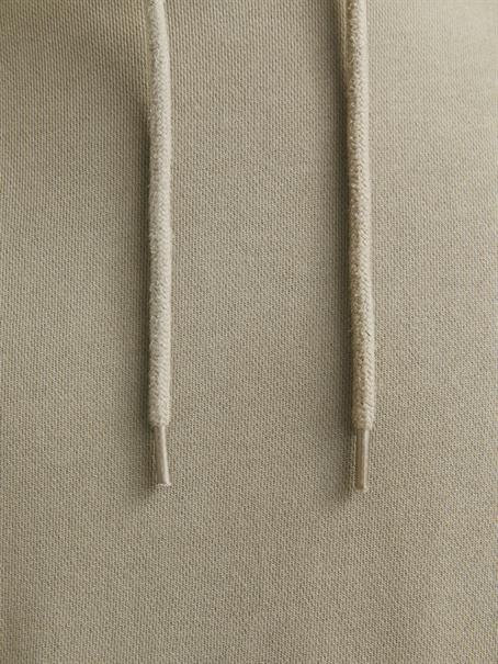 silver sage