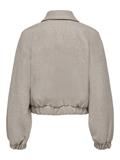 simply taupe