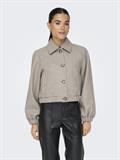 simply taupe