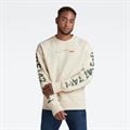 Sleeve graphics loose r sw dk talc