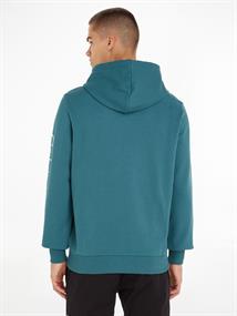 SLEEVE PLACEMENT LOGO HOODIE foamy ocean