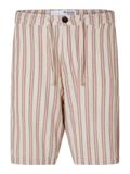 SLHREGSAL SHORTS egret-stripes