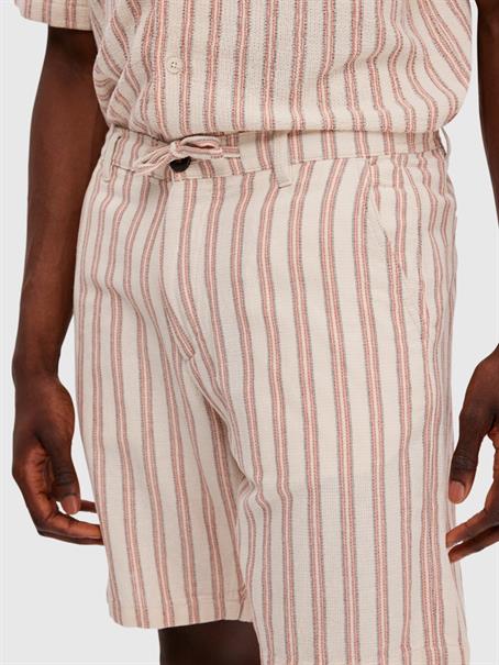 SLHREGSAL SHORTS egret-stripes