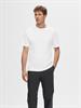 SLMCOLMAN SS O-NECK TEE NOOS bright white
