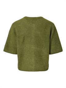 sphagnum