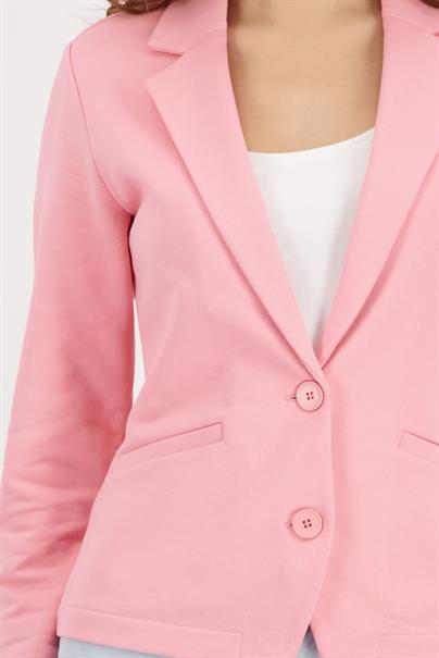 spring flower