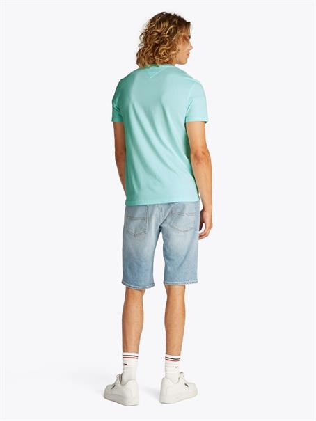 spring mint htr