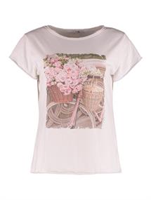 SS C TP Sv44enja 7666 rose bike