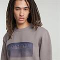 Stacked old skool logo r sw elephant skin