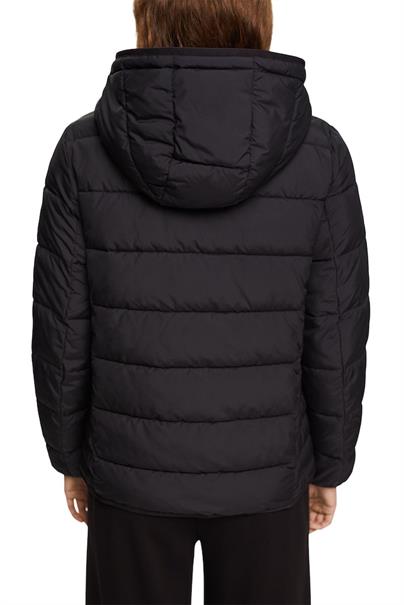 Steppjacke mit Kontrastfutter black