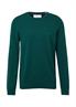Strickpullover olive4