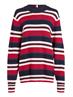 STRIPE CREW NECK SWEATER blue multi