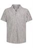 stripes: sable brown-offwhite