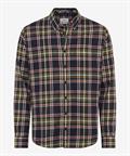 Style Daniel olive