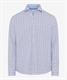 Style Harold summer grape