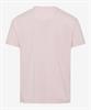 Style Ted smooth rose