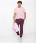 Style Ted smooth rose