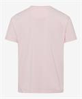 Style Ted smooth rose