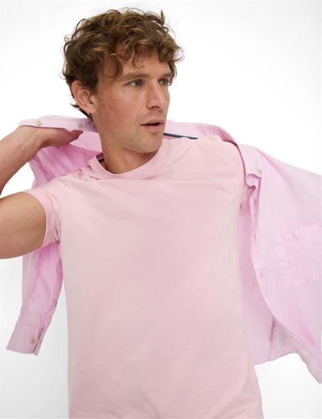 Style Ted smooth rose