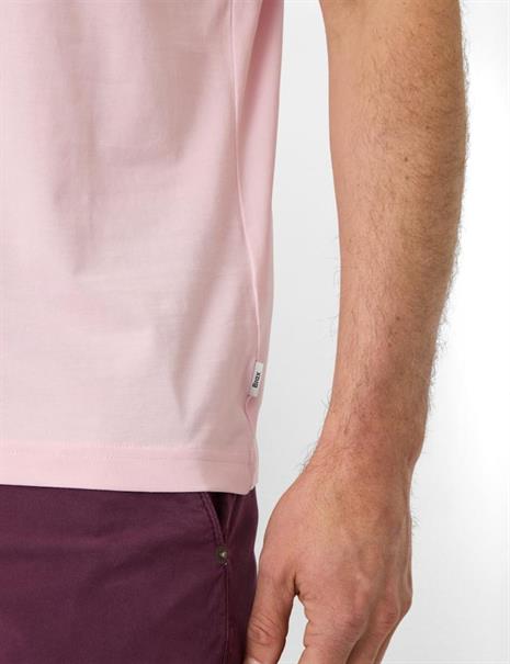 Style Ted smooth rose