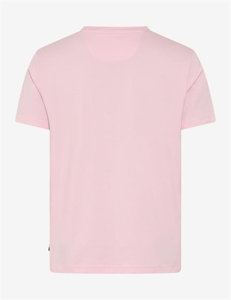 Style Ted smooth rose