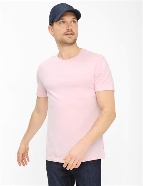 Style Ted smooth rose