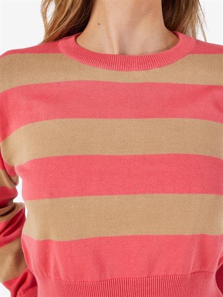 sun kissed coral