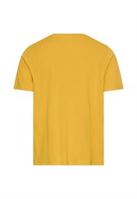 sun yellow