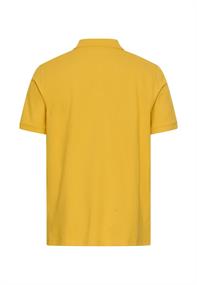 sun yellow