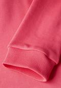 Sweat Hoodie sugar coral