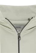 Sweatjacke mit Kapuze aus reiner Baumwolle light jade
