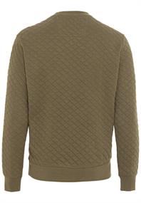 Sweatshirt aus reiner Baumwolle olive brown