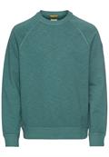 Sweatshirt aus reiner Baumwolle sea pine