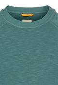 Sweatshirt aus reiner Baumwolle sea pine