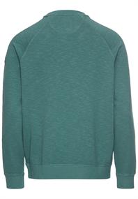 Sweatshirt aus reiner Baumwolle sea pine