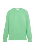 Sweatshirt grün