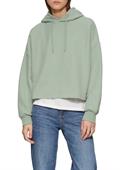 Sweatshirt grün