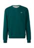 Sweatshirt grün