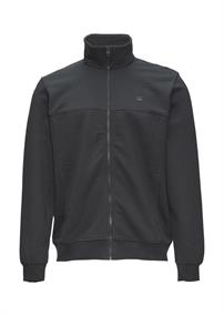 Sweatshirt Jacke mit Stehkragen und Logo-Detail grau
