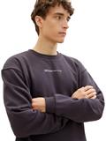 Sweatshirt mit Bio-Baumwolle coal grey