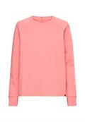 Sweatshirt mit Raglanärmeln winter berry