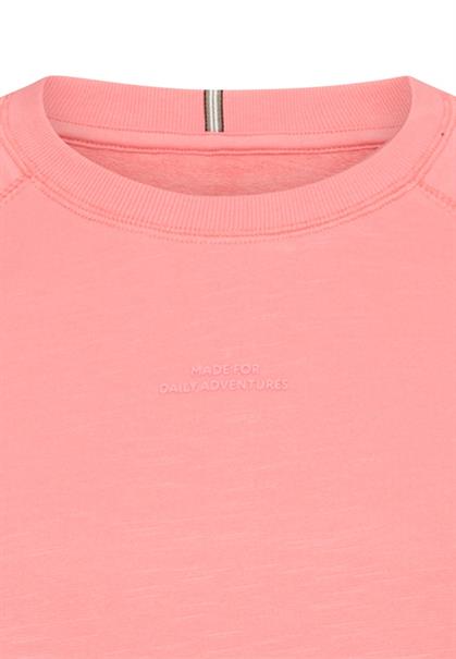 Sweatshirt mit Raglanärmeln winter berry