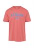 T-Shirt rot